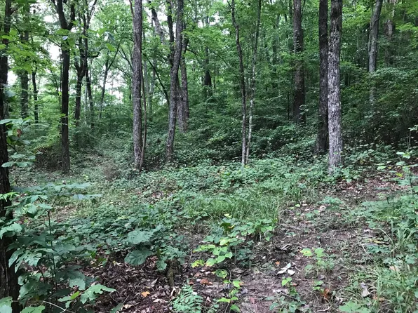 2 Smith Mountain Rd, Dunlap, TN 37327