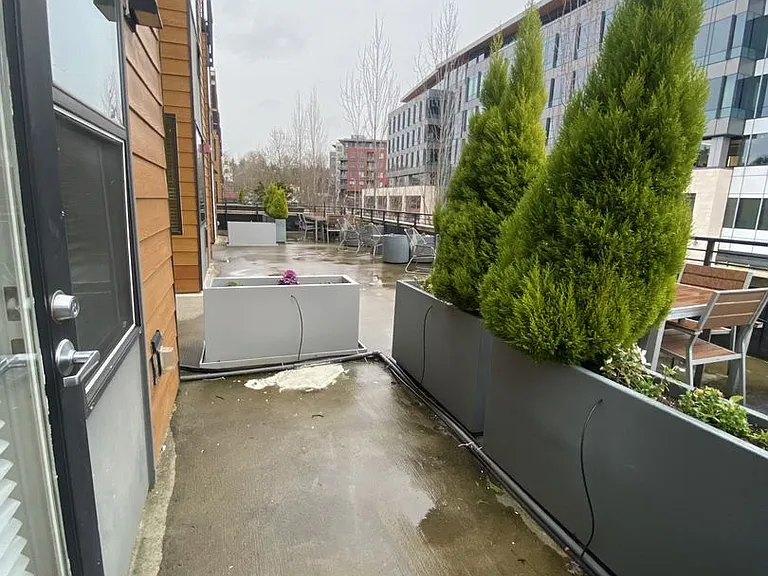 Arete Apartments — Photo 267