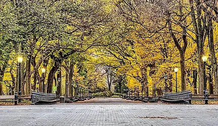 Rented by Vector New York, LLC