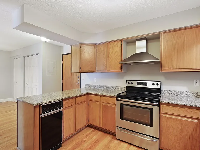232 Franklin Ave W #206 — Photo 10