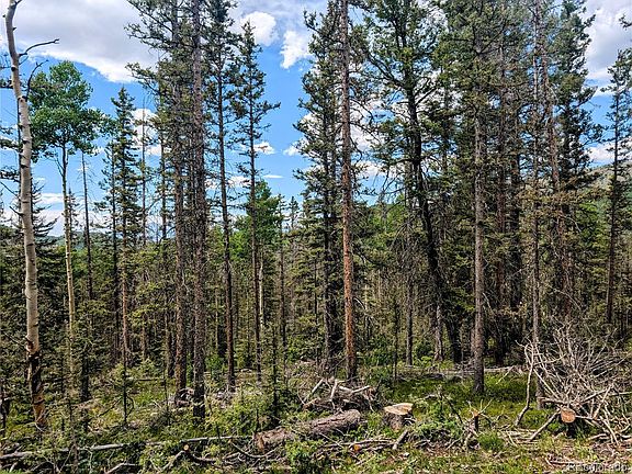 29th image of 8.5 Acres Phillips Road