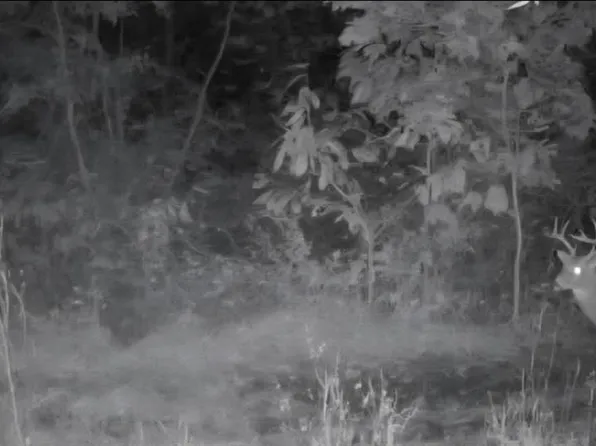 No Address Assigned Leanne Ln, Blue Springs, MO 64015