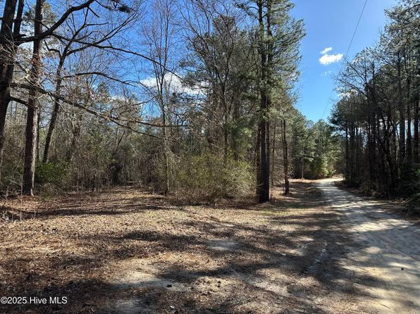 Tbd Cliff Gibson Road, Laurel Hill, NC 28351