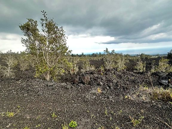 5th image of ALOHA Blvd Lot 4