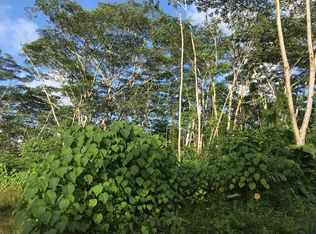 23rd Ave LOT 1146, Keaau, HI 96749