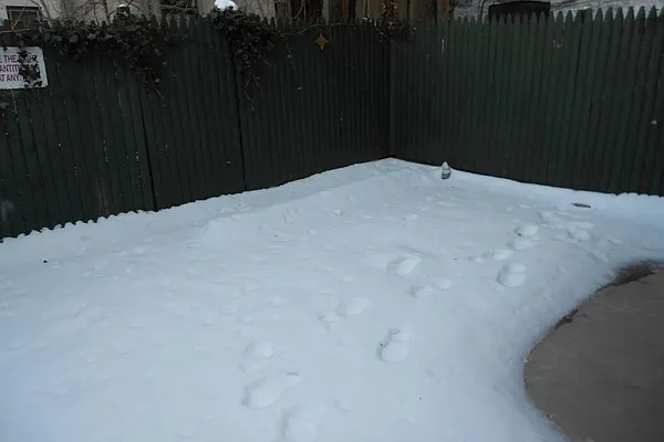 Rented by Corcoran | media 16