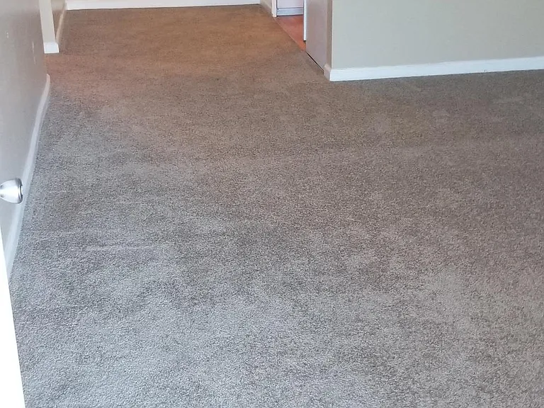 Royal Vista — Photo 19