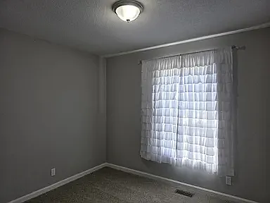 986 May Apple Dr — Photo 7