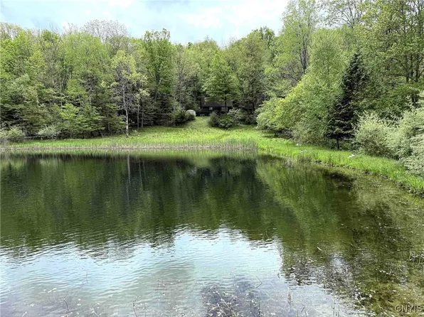 3304 County Road 22, Cameron, NY 14819
