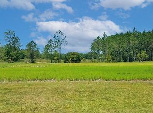 0 Glenmore Rd, Manor, GA 31550