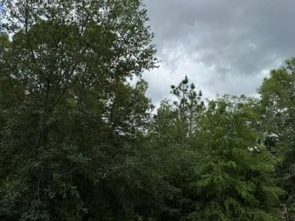0 Old Pelham Rd, Bainbridge, GA 39817