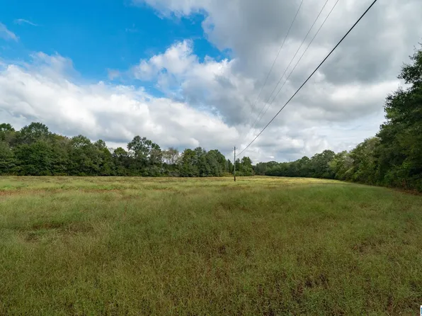 0 Allred Rd #2, Lincoln, AL 35096