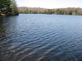 1398 Goodnow Flow Rd, Newcomb, NY 12852