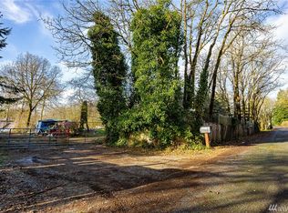 18621 Hilt St SW, Rochester, WA 98579