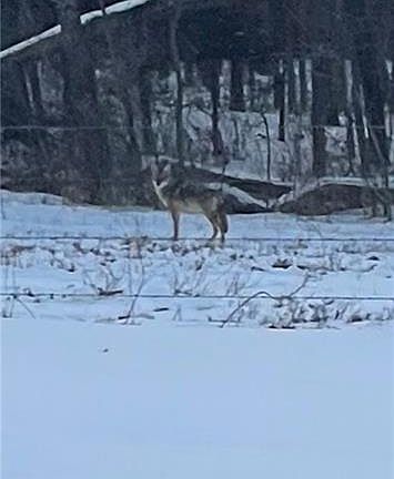 4th image of 343rd Ne Harmony Rd