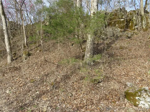 0 County Road 422, Ellington, MO 63638