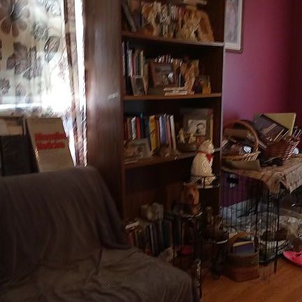 Living Room Southeast