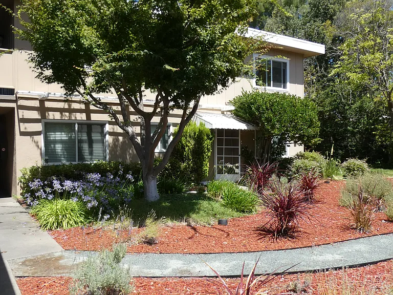 145 Sierra Dr — Photo 4
