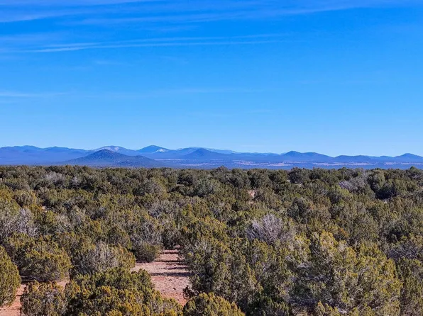 9023 Appaloosa Trl Lot D, Show Low, AZ 85901