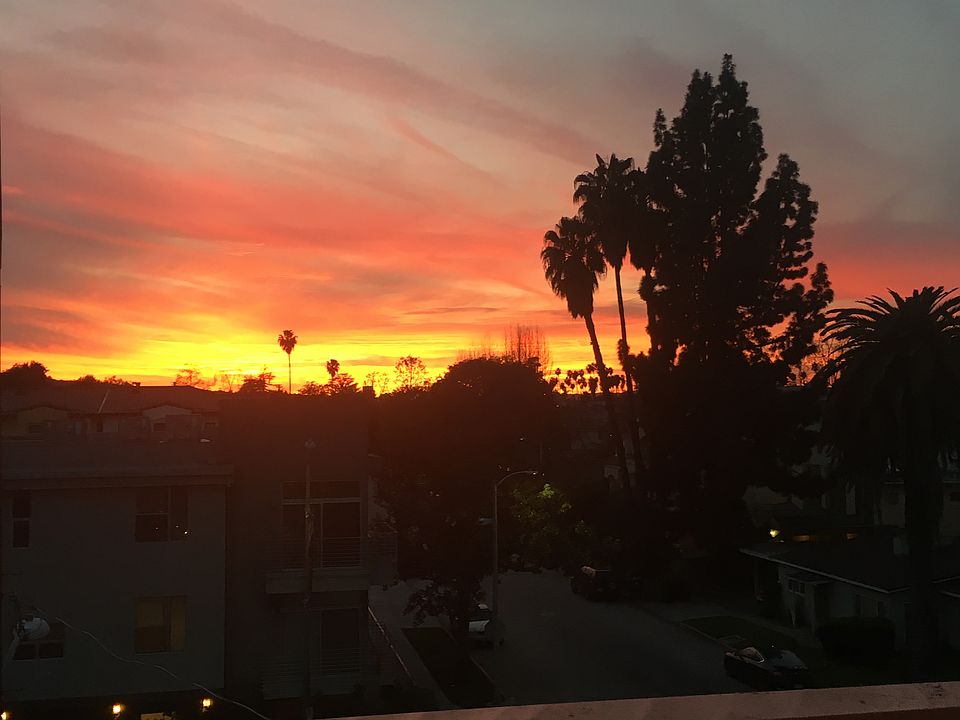 Sunset from private rooftop 