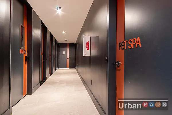 Rented by Urban Pads | media 53