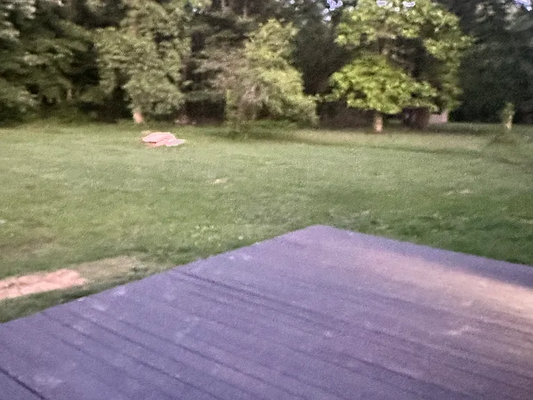 2624 Runway Ave — Photo 9