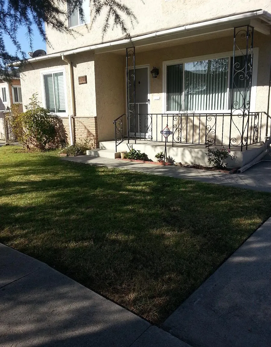2 bed, 1150 sqft, $3,250 — Photo 4
