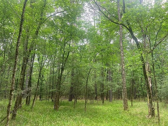 5th image of 0 Wilderness Rd