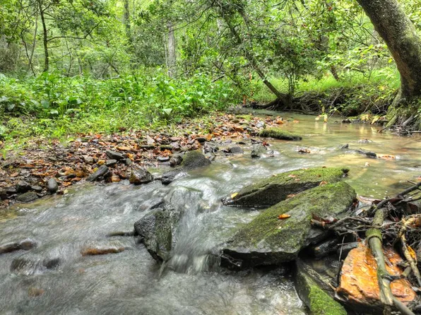 LOT 45 Synacia Dr, Mineral Bluff, GA 30559
