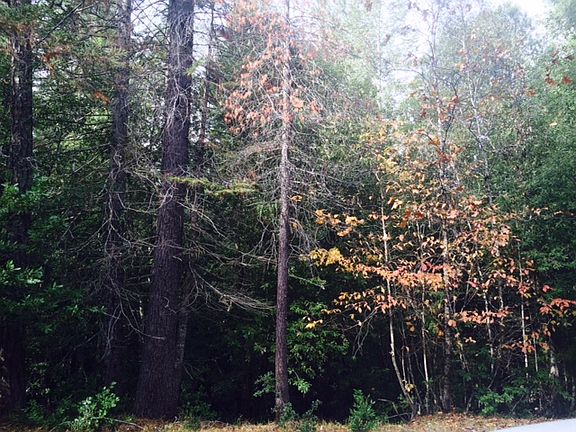 5th image of 0 Forest Glade