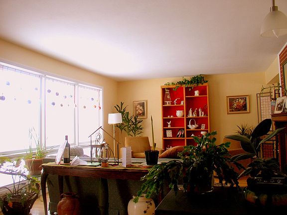 living room picture windows