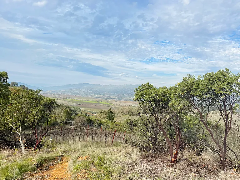 24401 Rich Ranch Rd — Photo 50