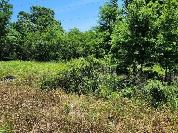 None County Rd #21, Greensboro, AL 36744