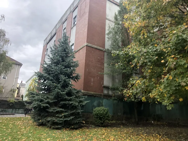 260 Fountain St #D1 — Photo 15