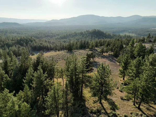 459 Dancing Bears, Portola, CA 96122