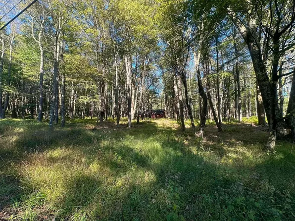 LOT 21 Alpine Dr, Terra Alta, WV 26764