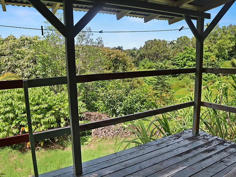 More of the view from the lanai.
