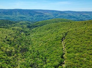 0 Irish Cape Rd LOT 16, Napanoch, NY 12458