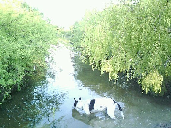 Water Retaining Pond