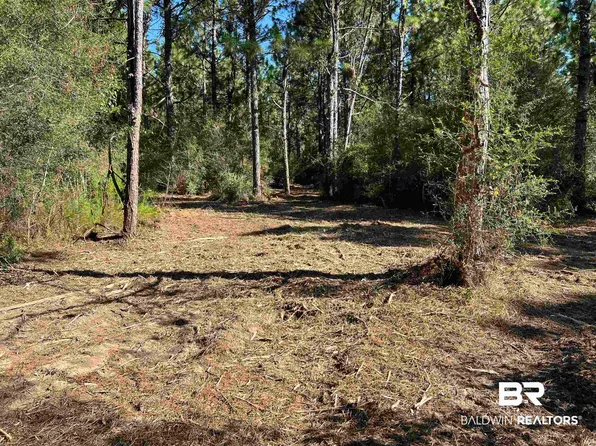 0 Barnhill Farm Rd, Loxley, AL 36551
