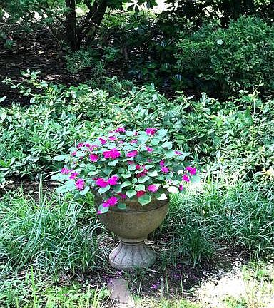 The colors of summer!