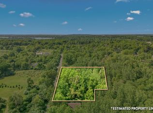 50 S Wolcott St, Hillsdale, MI 49242