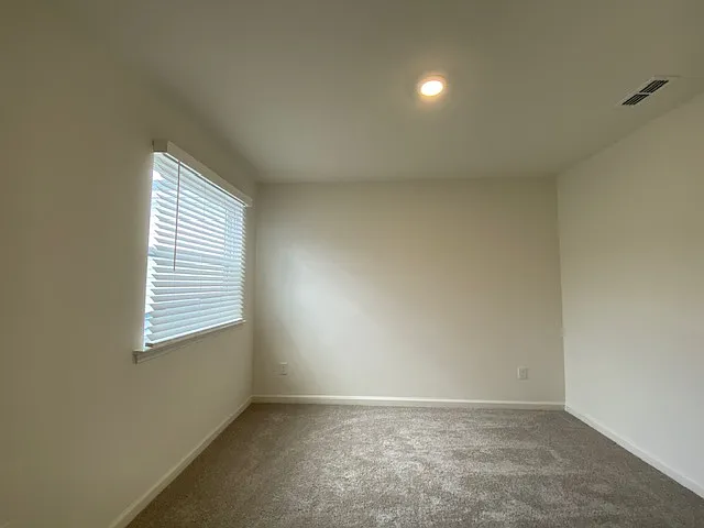 3002 Chrys St — Photo 11