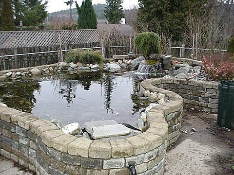 Koi Pond