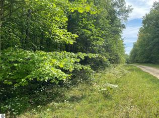 Basel Road Mult, Reed City, MI 49677