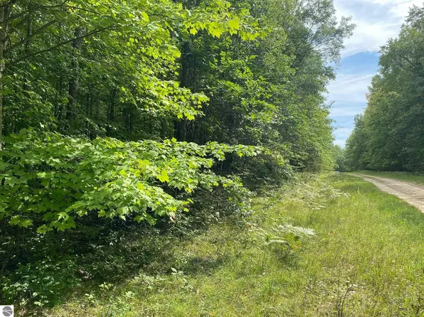 Basel Road Mult, Reed City, MI 49677