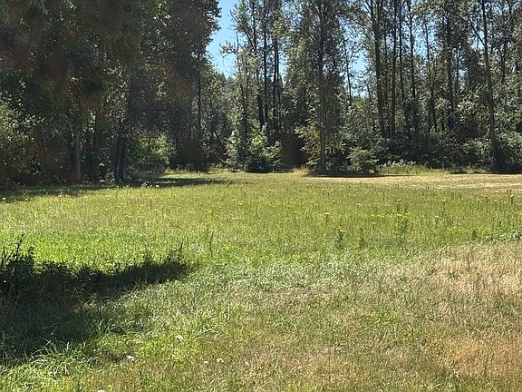 3rd image of 2004 Lewis River Rd