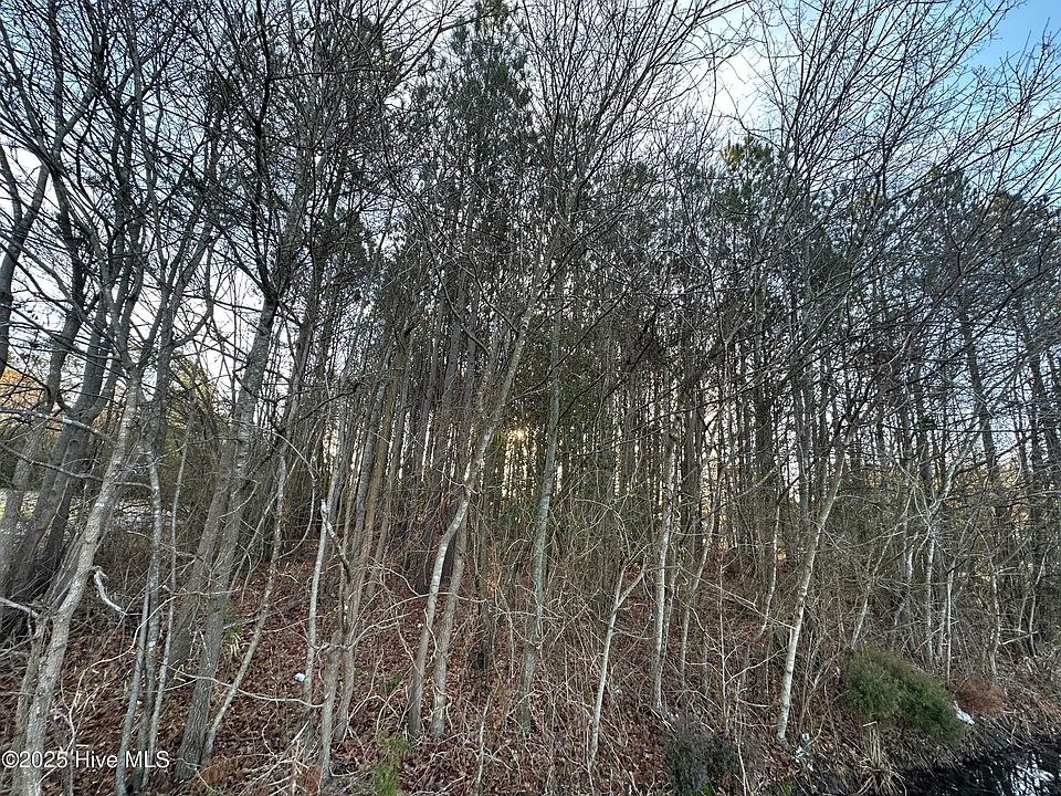 2nd image of Tbd Pine Street