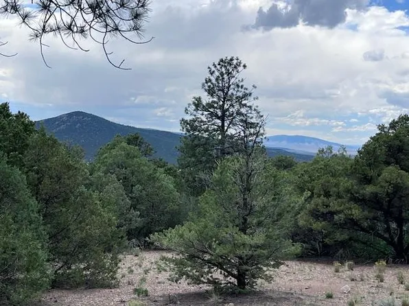 LOT 56 Upper Pinabete Rd, Questa, NM 87556