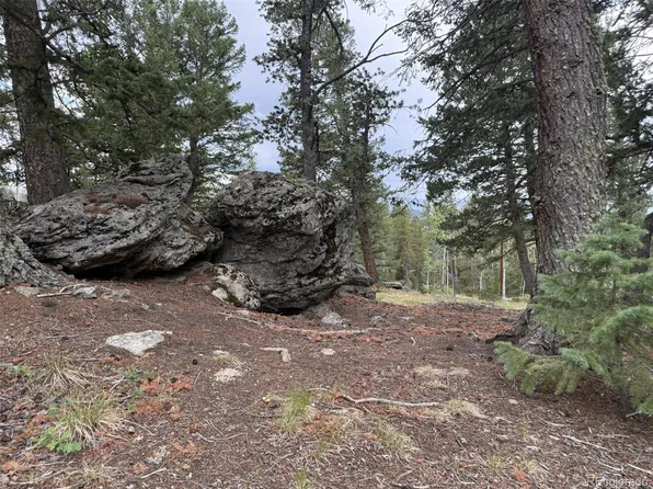 1 Hawk Way, Black Hawk, CO 80422
